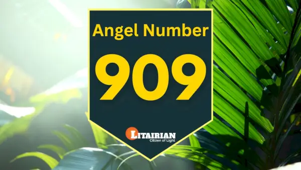 Engel nummer 909 Betekenis en betekenis