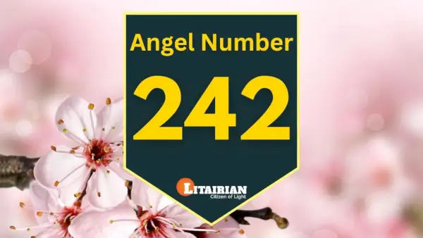 Angelo numero 242 Significato e significato