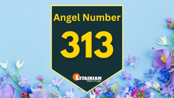 Anjel Číslo 313 Význam a význam