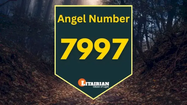 Anděl číslo 7997 Význam A Význam
