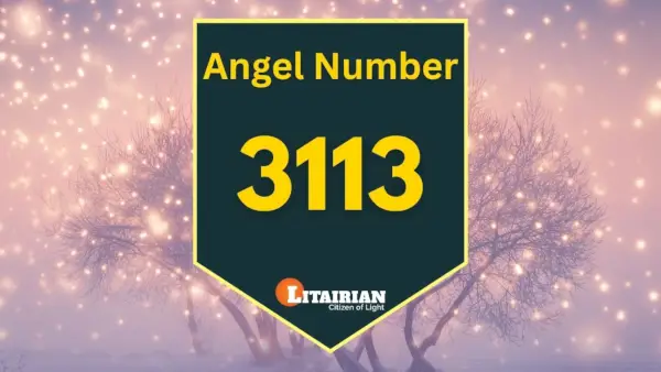 Significado e importância do anjo número 3113