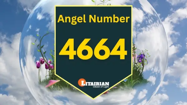 Nummer 4664 Betekenis en betekenis