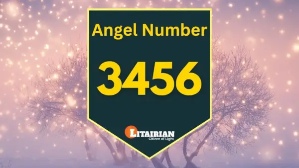 Nummer 3456 Betekenis en betekenis